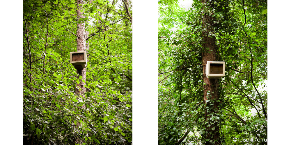 la prossima primavera sarà felice