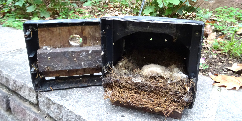 la prossima primavera sarà felice