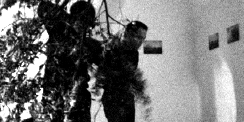 solletico, mano d'ortica