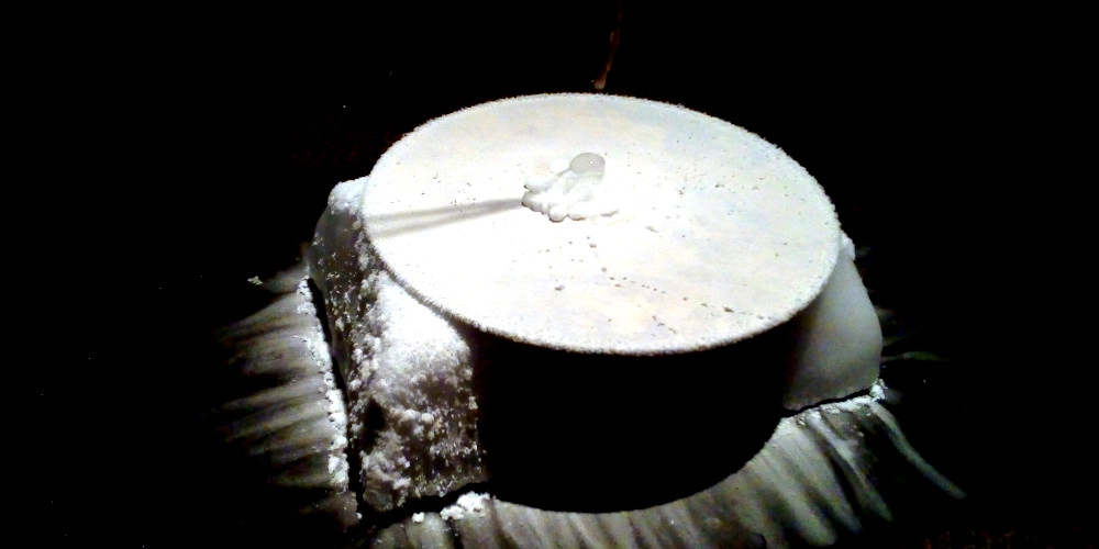 all seasons in one day